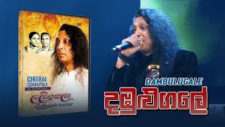 DambuluGale  දඹුලුගලේ   Chitral Somapala Live In Concert [upl. by Ker900]