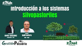 Introducción a los sistemas silvopastoriles [upl. by Ardnosal299]