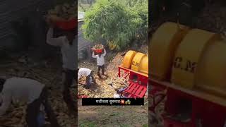 farming शेतकरीbrand farmingsystem royalshetkari trectorlover trendingvideo [upl. by Ashby]