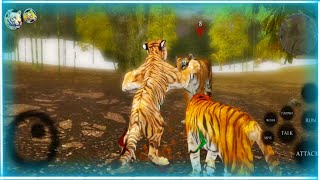 Ultimate Tiger Simulator 2  Tiger 🐯 Hunting Simulator Game  Tiger 🐅 Vs Animal Simulator Game  8 [upl. by Nogaem]