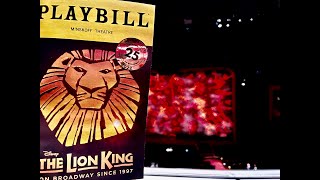 THE LION KING MUSICAL 25th ANNIVERSARY CURTAIN CALL NYC [upl. by Lucine]