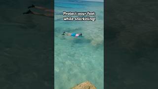 Shoes for snorkeling in the ocean Seekway water socks shorts watershoes snorkeling cruise [upl. by Nelson205]