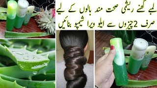 Homemade Aloe Vera Herbal shampoo Get Thick Long Dandruff Free Hair Fastest Hair Growth [upl. by Miah108]