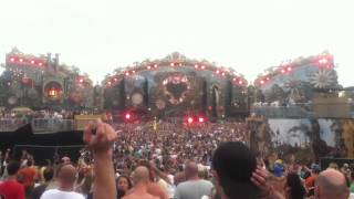 Tomorrowland 2014 Weekend 2 Martin Garrix  Gold Skies [upl. by Ysle]