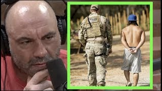 Joe Rogan  There Are 10000 Cartel Members Growing Illegal Marijuana in California wJohn Nores [upl. by Lebana]