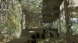 Carrieres de Lumieres celebrates Van Gogh in Les Baux de Provence [upl. by Dympha291]