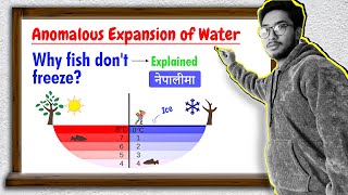 Anomalous Expansion of Water  Explained In Nepali [upl. by Lemraj]