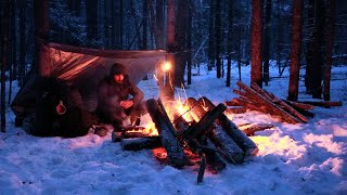 Surviving the Cold  Winter Camping in Snow [upl. by Esertap]