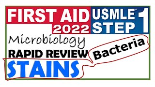 Stains  Gram Stain  Rapid Review Microbiology  First Aid for USMLE STEP 1  Dr Asif Lectures [upl. by Bennie]