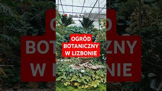 Najlepszy ogród botaniczny w Lizbonie Estufa Fria portugalia travel lizbona wakacje natura pt [upl. by Hokanson]