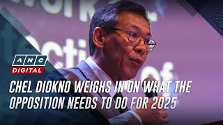 Chel Diokno weighs in on what the opposition needs to do for 2025 [upl. by Rabush709]