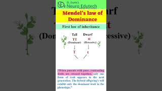 Mendel’s law of Dominance First law of inheritanceshorts shortsvideo youtubeshorts [upl. by Towne898]