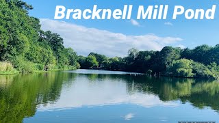 Bracknell Mill Pond  Beautiful biggest pond in Bracknell [upl. by Arnuad5]