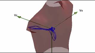 Vectorcardiogram VCG Signals and the body torso model [upl. by Verge]