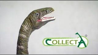 Collecta Plateosaurus figure reviewReview For Adult Collectors by an Adult Collector [upl. by Nosirrah]