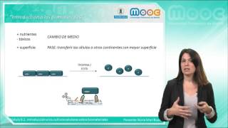 MOOC Biomateriales 922 Introducción a los cultivos celulares sobre biomateriales [upl. by Krueger840]