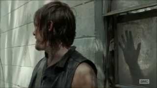 Daryl Dixon  ET [upl. by Kcirednek702]