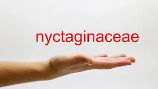 How to Pronounce nyctaginaceae  American English [upl. by Aynwat]