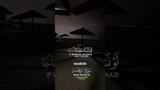 SurahAlWaqi’ah Recitation quranrecitation qurantilawat alquran youtubeshorts shortsfeed [upl. by Cornelius]