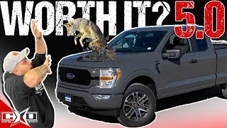 Is a 50L Ford F150 Worth It [upl. by Carberry663]