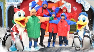 snowworld mumbai cousins snowgames enjoy dance snowfall subscribe [upl. by Anthia158]