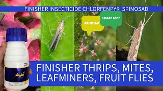 Finisher Insecticide by Rudolf Thrips mites sucking insects Chlorfenpyr  Spinosad Kissan Ghar [upl. by Talanian]