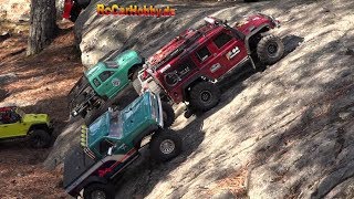 RC Crawler Scaler Action Skogstrail Lida Sweden part 9 [upl. by Hepza]