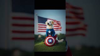 Puppy Power Dog Takes on the Captain America Role [upl. by Voccola542]