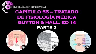 GUYTON amp HALL CAP 66 PRINCIPIOS GENERALES DE LA FUNCION GASTROINTESTINAL  PARTE 2 [upl. by Altman]