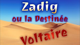 Zadig Voltaire  Chapitre 2  Le Nez [upl. by Drescher]