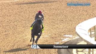 Sonneteer 2017 Kentucky Derby Hopeful 501 [upl. by Eppesuig]