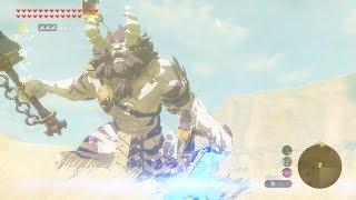 Silver Lynel Kill in 10 Seconds  Zelda Breath of the Wild [upl. by Laing]