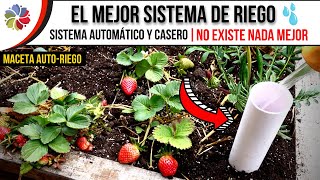 💧🌱 El MEJOR SISTEMA de RIEGO que EXISTE y SIN TEMOR a EQUIVOCARME  MACETA AUTORIEGO PASO a PASO [upl. by Rhine]