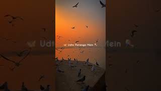 Udte Patango Mein 🪁 WhatsApp Status 🥀 Slowed And Reverb 💗 Holi Status 🦋 shorts viral [upl. by Yentroc]