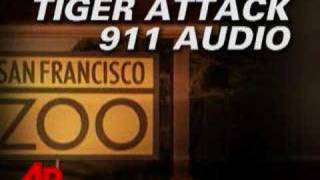 911 Audio San Francisco Zoo Tiger Attack [upl. by Savihc824]