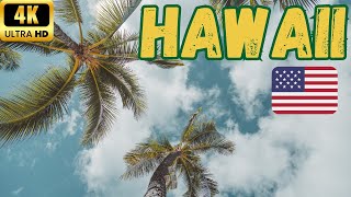 【4K】Hawaii Dole Plantation amp Mānoa Falls Trail Walk  60 fps [upl. by Mensch]