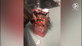 OMG Disgusting blob found in a LiquiFruit juice box [upl. by Macrae]