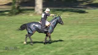 Beatrice Travis amp Beahives Tangled Hagyard TeamChallenge 2024 [upl. by Rumilly329]