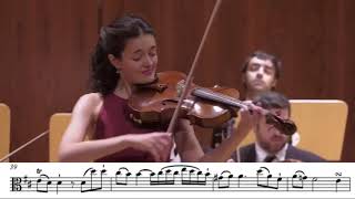 Evolution of Viola Concertos 1716  2017 [upl. by Erich]