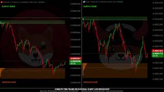 🟢 SHIBA and FLOKI Live Educational Chart with Signals [upl. by Sunev]