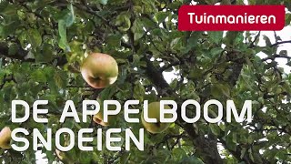 De appelboom snoeien hoe doe je dat  Tuinmanieren [upl. by Aerua]