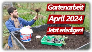 Gartenarbeit April  Erdbeeren amp Kohlrabi Lavendelschnitt Gemüsegarten mit Hochbeeten [upl. by Car630]