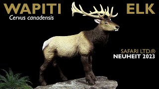 Safari Ltd ® Elk  Wapiti  Cervus canadensis  Wild Wildlife Review [upl. by Rudiger867]