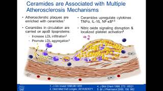 Bringing Novel Biomarkers from Research to Clinical Use [upl. by Leola]