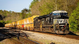 WALL OF TRASH 11T Passes Walton VA with a Classic Scent 🤢  4202024 [upl. by Francois]