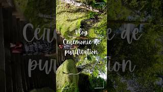 Ça a changé ma vie  😲 melukat bali vlogvoyage shorts [upl. by Lajib]