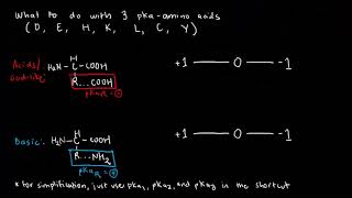 BIOCHEM 14  Amino Acid Ionization 2 and Isoelectric pH [upl. by Ricca]