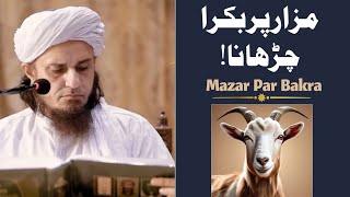 Mazar Par Bakra Chadhana 🫵 HKD Mufti Tariq Masood [upl. by Alilahk112]