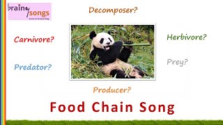 Food Chains Song [upl. by Ecidnac]