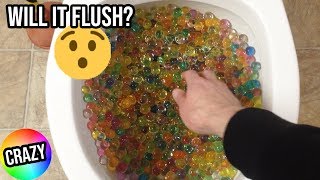 i threw thousands of Orbeez in the toilet  Will it Flush 👀 [upl. by Zela]